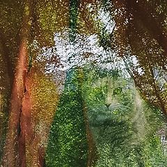 photo "***"