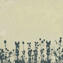 photo "***"