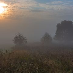 photo "***"
