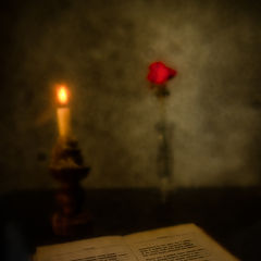 photo "***"