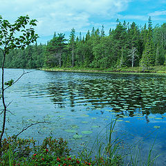 photo "***"