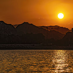 photo "In crimson tones"