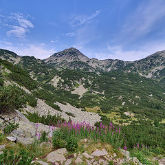 photo "***"