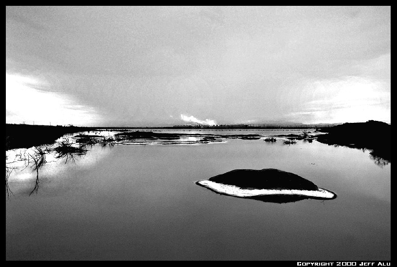 photo "Digiswamp" tags: landscape, black&white, 