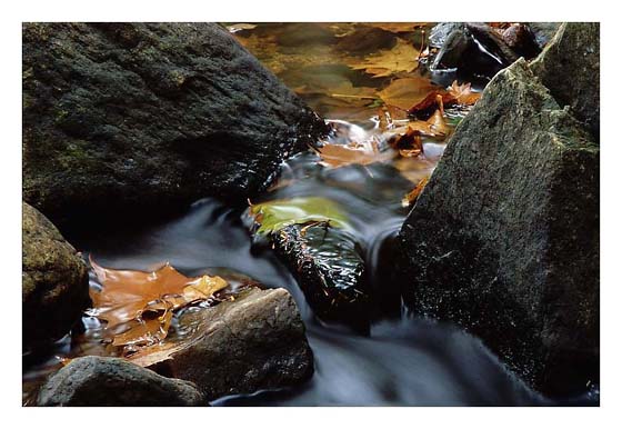 photo "Flowing water" tags: landscape, autumn, water