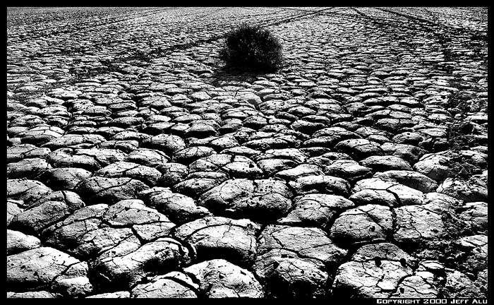photo "Alone" tags: landscape, black&white, 