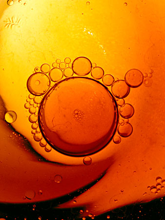 photo "Oil Painting" tags: still life, macro and close-up, 