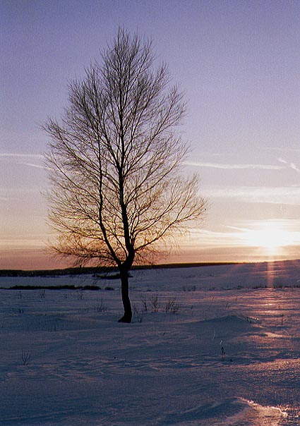 photo "Sunset2" tags: landscape, sunset, winter