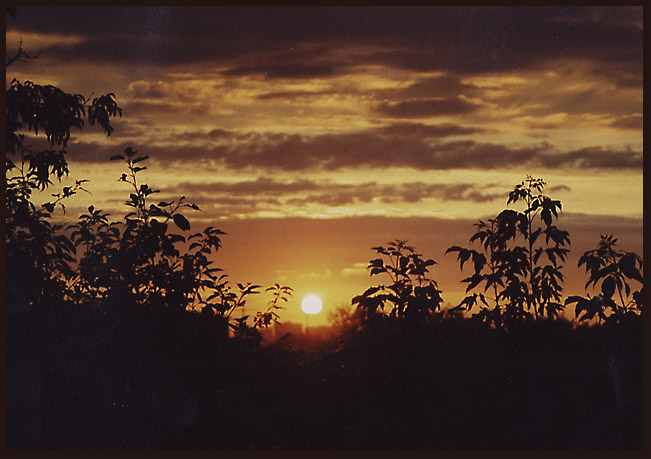 photo "Untitled photo" tags: landscape, summer, sunset