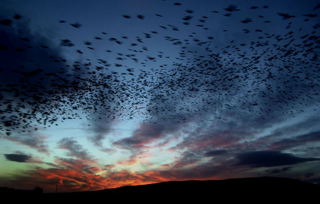 фото "Kosovo Sunset" метки: репортаж, 