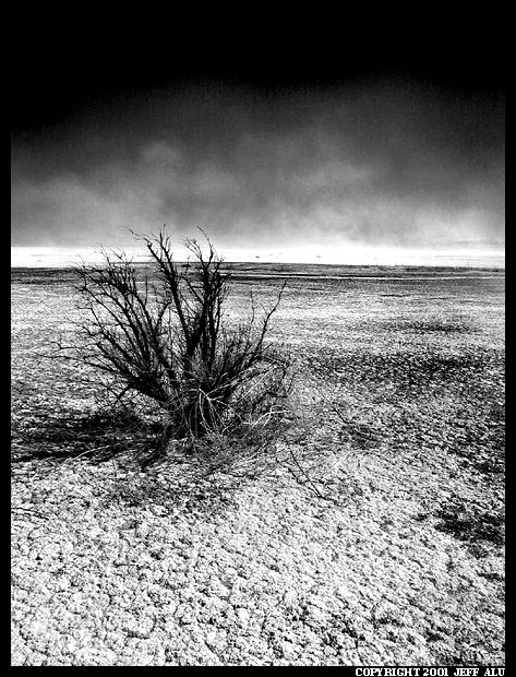 photo "Alone 2" tags: landscape, black&white, 
