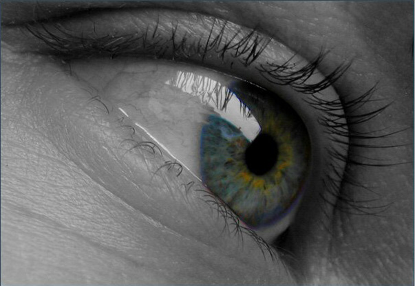 фото "Eye see colours" метки: макро и крупный план, фотомонтаж, 