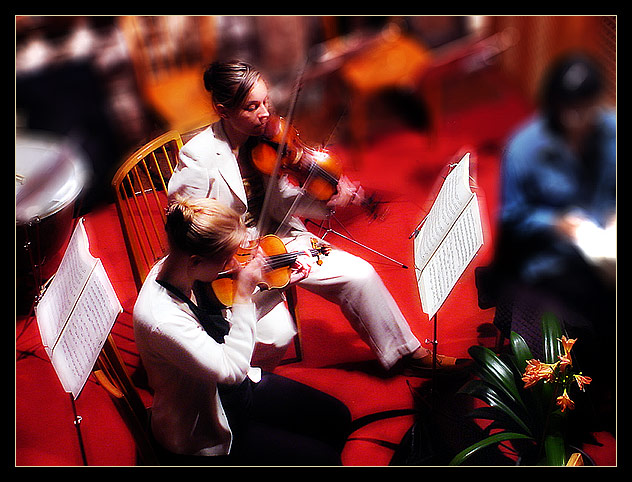 photo "Haendel, Second Violin" tags: portrait, genre, woman