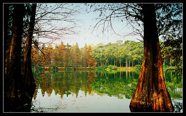 фото "One Side Of The Lake" метки: пейзаж, вода, осень