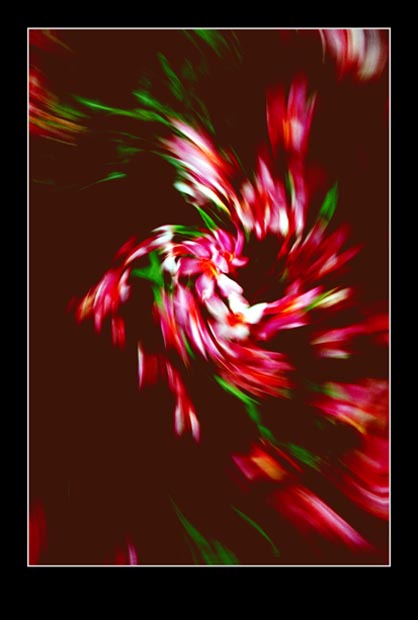 photo "Untitled photo" tags: misc., 