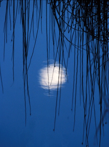 photo "Moon Shadow" tags: landscape, night, water