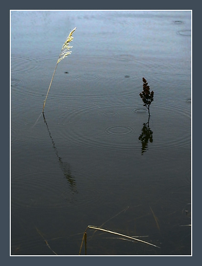 photo "Photo-haiku #2" tags: landscape, water