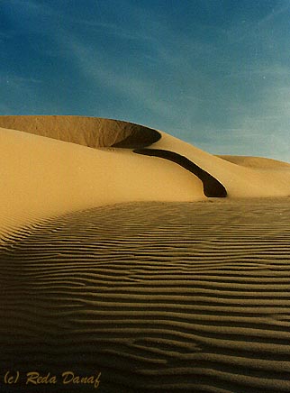 фото "Sand Dunes # 1" метки: пейзаж, путешествия, Африка