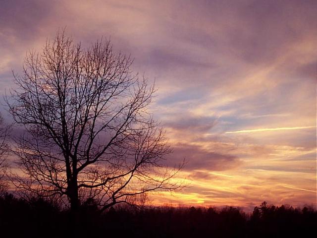 photo "Daylight`s Demise" tags: landscape, sunset