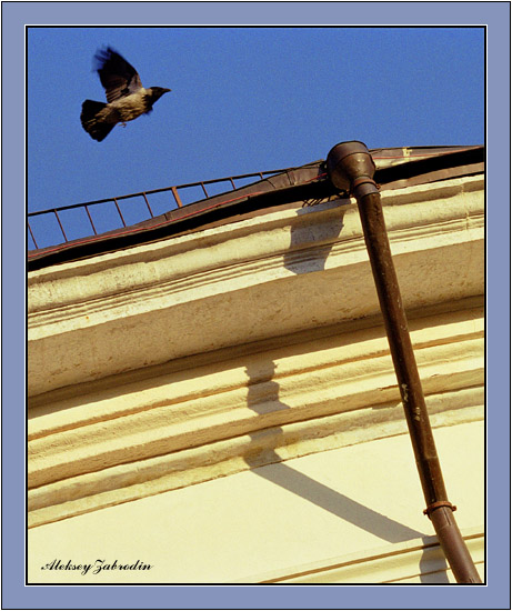 photo "Raven and a pipe (from a cycle Fragments)" tags: misc., 