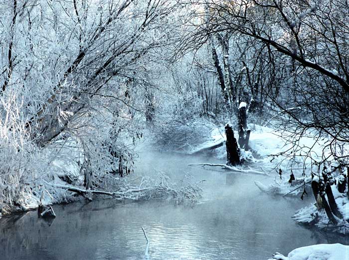 photo "The forgotten place" tags: landscape, forest, winter