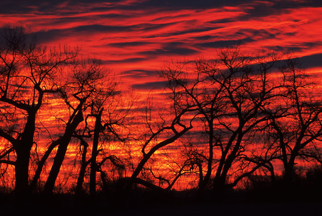 photo "Sunrise Fire" tags: landscape, clouds, sunset