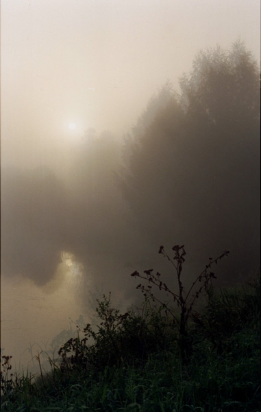 фото "В тумане" метки: пейзаж, закат, осень