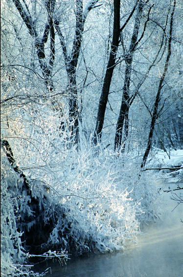 фото "Немного солнца" метки: пейзаж, зима, лес