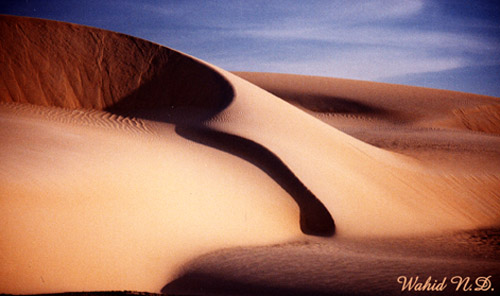 photo "Sand Dunes 1" tags: landscape, 