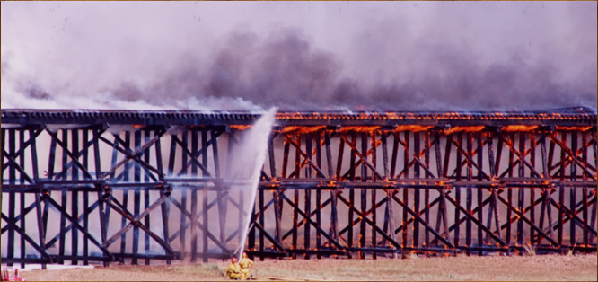 photo "Railway trestle funeral" tags: landscape, 