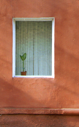 photo "Window" tags: misc., 