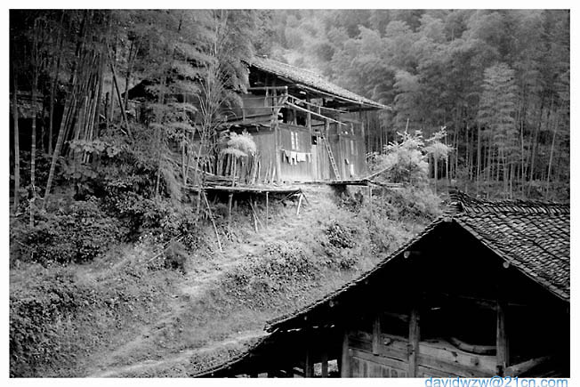 photo "House In Woods" tags: travel, landscape, Asia