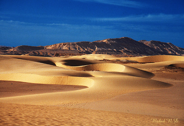 photo "Sand Dunes#2" tags: landscape, 