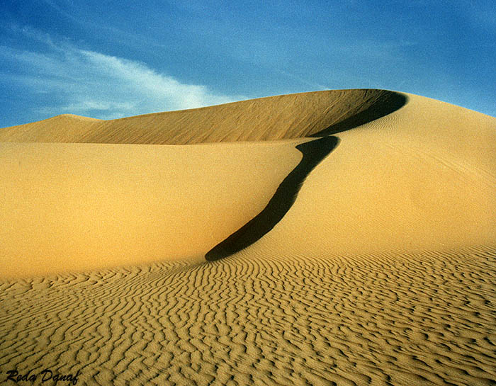 photo "Sand Dunes # 2" tags: travel, landscape, Africa