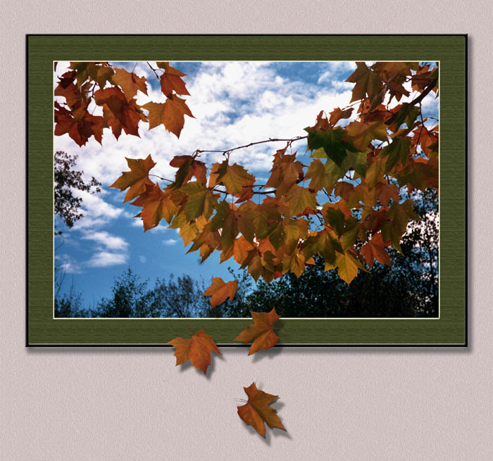 photo "Otoсo" tags: landscape, montage, autumn