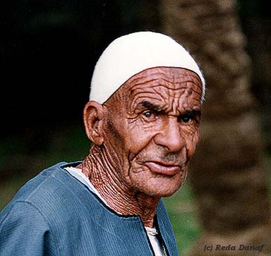 фото "Wrinkly" метки: портрет, мужчина