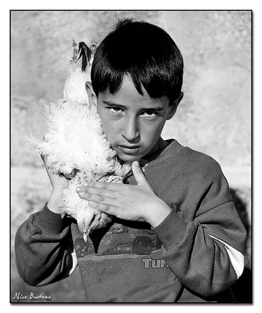 photo "The child and the hen" tags: portrait, children