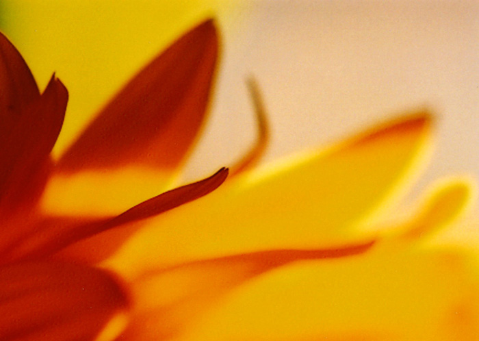 photo "flames" tags: abstract, 