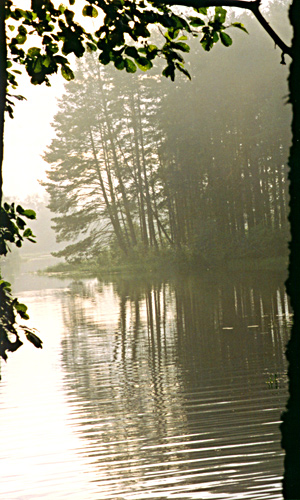 photo "Evening landscape in a slanting frame" tags: landscape, forest, water