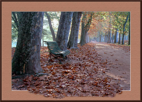 photo "Autumn II" tags: landscape, autumn, forest