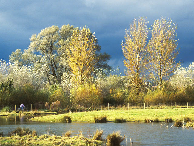 фото "Autumn Gold" метки: пейзаж, путешествия, Европа, осень