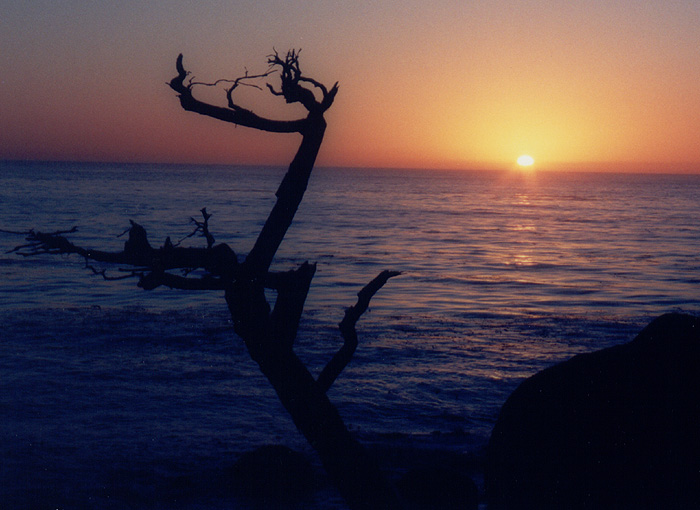 photo "Loneliness" tags: landscape, travel, North America, sunset