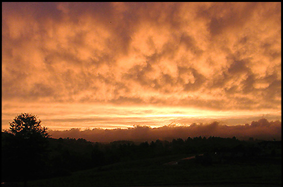 photo "Gold Rush" tags: landscape, sunset