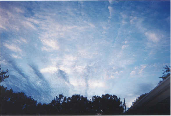 photo "Look Up" tags: landscape, clouds, sunset