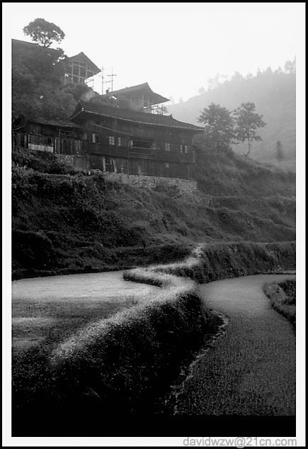 photo "The lane in the field" tags: travel, misc., Asia