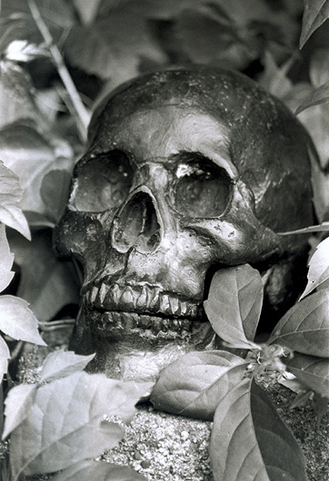 photo "The Dark Skull" tags: still life, misc., 
