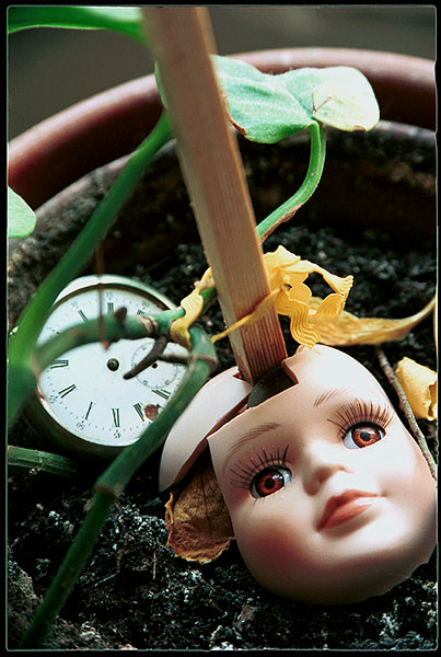 photo "Death in the flower pot" tags: still life, genre, 