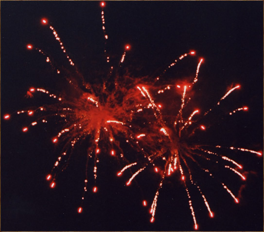 фото "4th of July" метки: разное, 