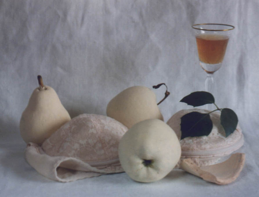 photo "Untitled photo" tags: still life, 