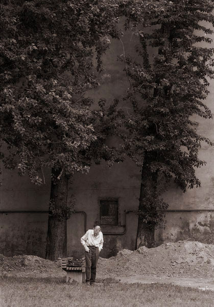 фото "старик и деревья" метки: жанр, 